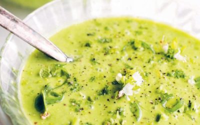 Crema di crescione di ruscello, yogurt e trota affumicata