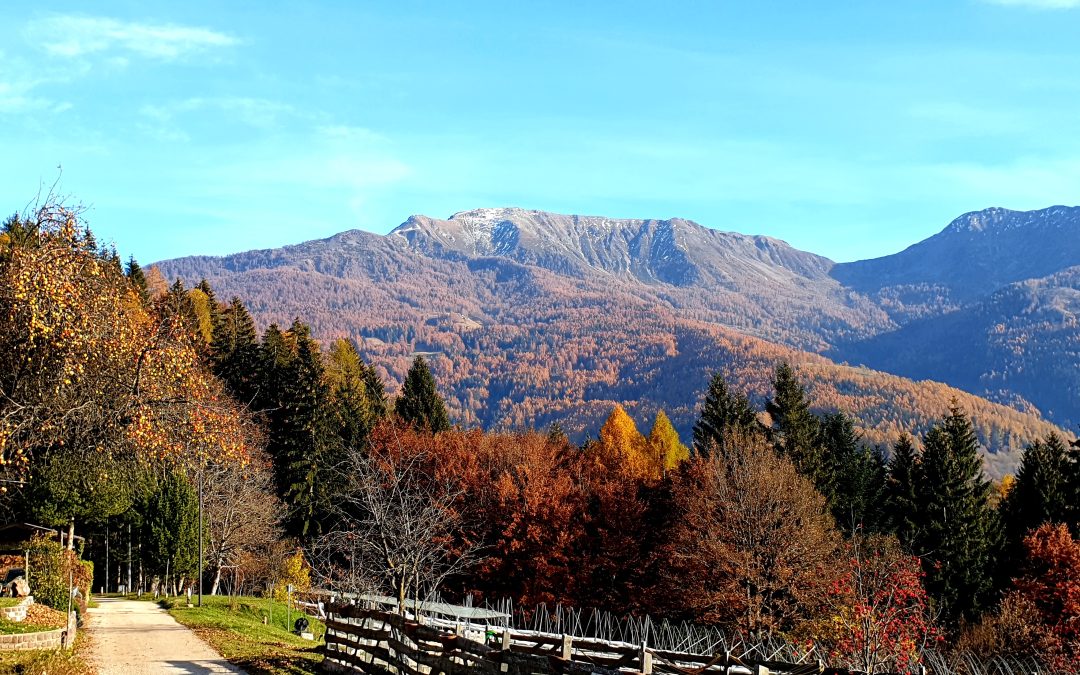 5 luoghi dove ammirare il foliage in Trentino