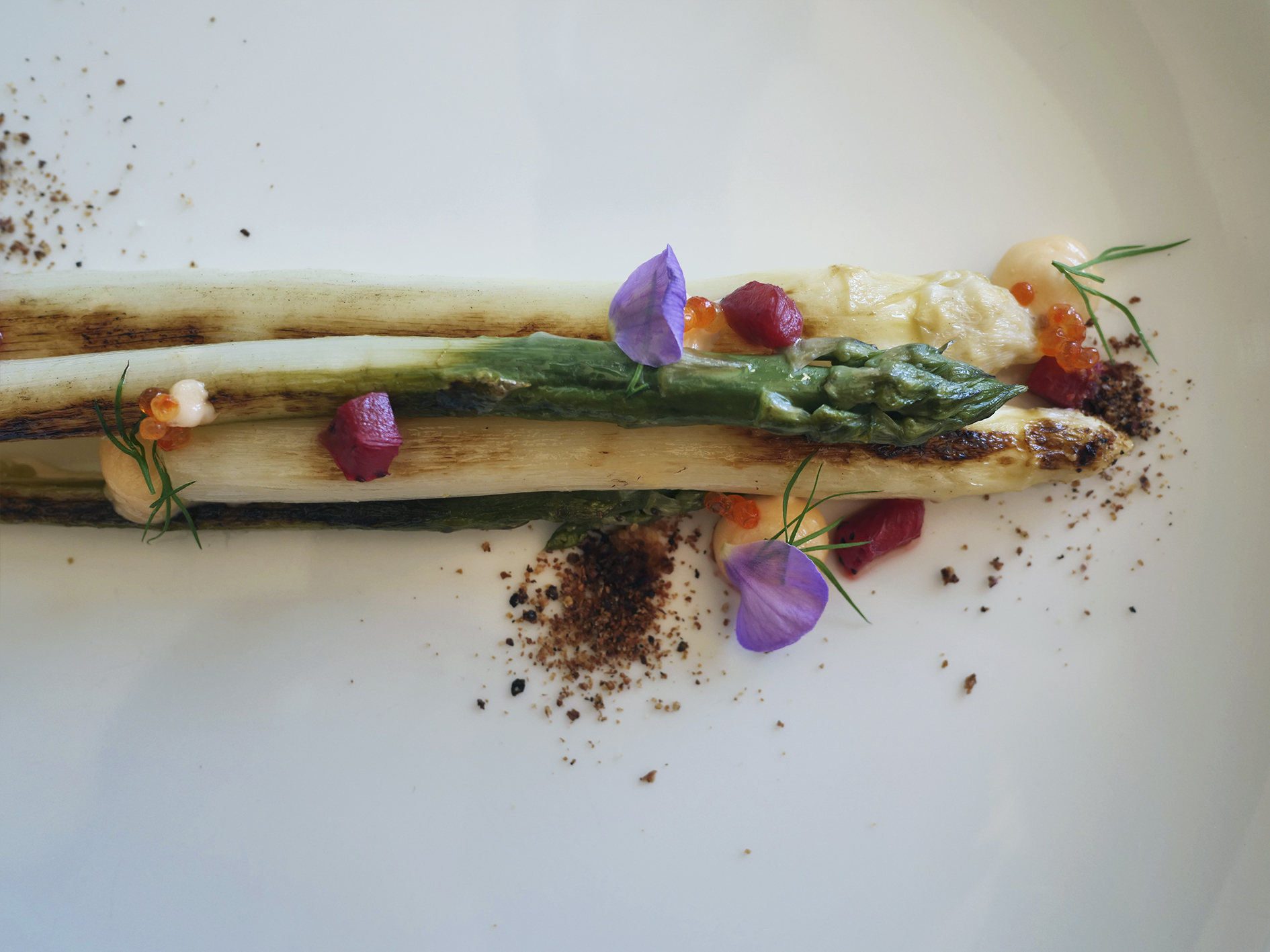 Ingredienti_Cheesecake_ChefDanieleTomasi
